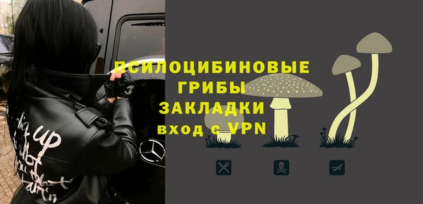 стафф Корсаков
