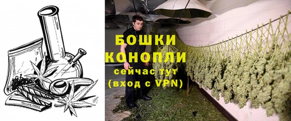 каннабис Коряжма
