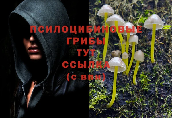 каннабис Коряжма