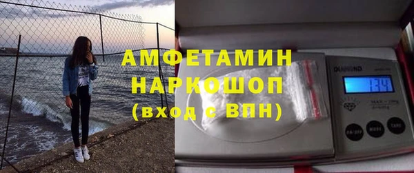 стафф Корсаков