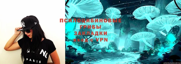 стафф Болхов