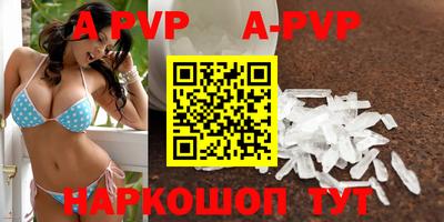 спиды Гатчина
