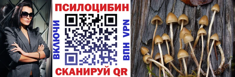 где купить   Коркино  Галлюциногенные грибы MAGIC MUSHROOMS 
