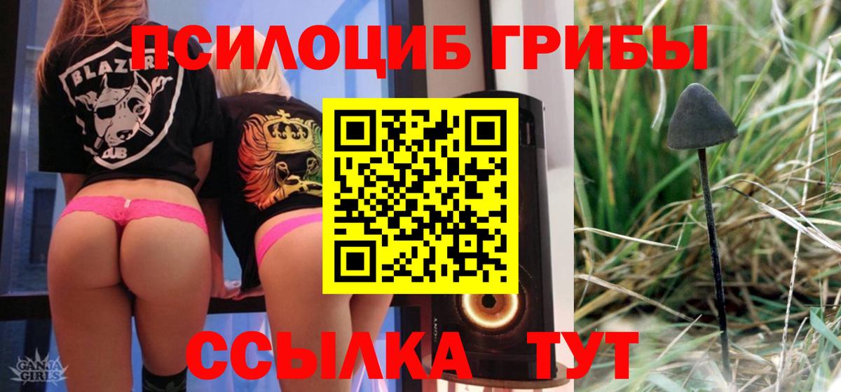 Галлюциногенные грибы Cubensis Коркино