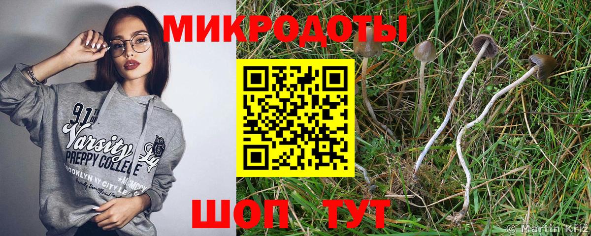 Псилоцибиновые грибы MAGIC MUSHROOMS  хочу   Коркино  Вход с VPN 