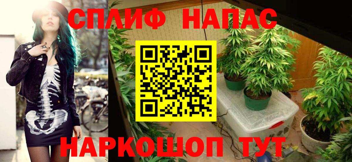 Бошки Шишки семена Коркино